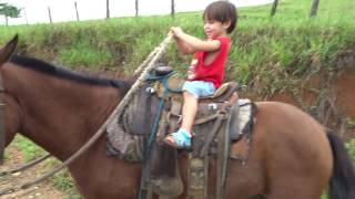 emanuel andando a cavalo3 anos de idade [upl. by Shaff]