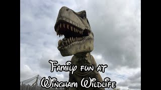 Family fun at Wingham Wildlife Park Part 1 [upl. by Marve413]