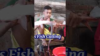 Incredible Giant Pangas Fish Cutting Techniques  Fish Cutting Skills [upl. by Maggi]