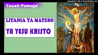 Litania ya Mateso ya Yesu Kristo  Valeriana Mayagaya [upl. by Dareg]