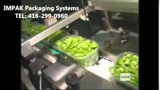 Ilapak Carrera 500 PC Horizontal Flow Wrapper Wrapping Produce [upl. by Rosalinda]