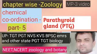 om bio study zone  parathyroid gland hormonesByRk sir [upl. by Munniks]