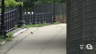 I thought I was gonna die Woman strangled by stranger on Towpath Trail in Akron [upl. by Tayib128]