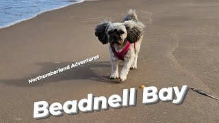 Beadnell Bay Northumberland [upl. by Niwdog]