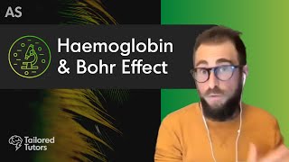 Haemoglobin amp Bohr Effect  A Level Biology Revision  AQA [upl. by Menzies]