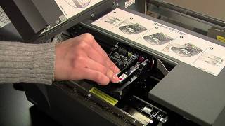 Print Your Own Labels with Primeras LX900 Color Label Printer HD YouTube Version [upl. by Fredella]