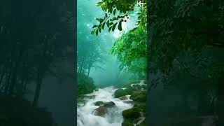 beautiful nature jass manak sonk shortfeed punjabisong naturelovers snowfall [upl. by Yrrol]