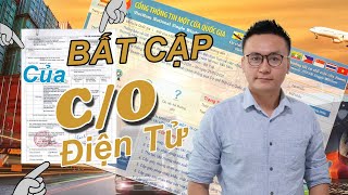 CO Form D Điện Tử Là Gì Khác Nhau Giữa CO Giấy Và CO Điện TửCách Xử Lý Sự Cố  KAN Asia [upl. by Eleazar]