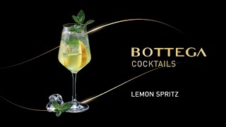 Bottega Cocktails BOTTEGA SPRITZ ita [upl. by Nariko]