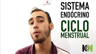 Fisiologia Animal  Sistema Endócrino Ciclo Menstrual [upl. by Guzel338]