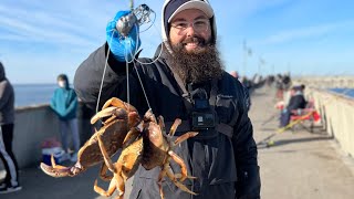 Pacifica Pier Crabbing for Dungeness with Snares Northern California Crab Snaring [upl. by Esorbma987]