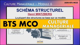 AIDE BTS MCO  Questce que le schéma structurel selon MINTZBERG   CULTURE MANAGERIALE BTS [upl. by Cohl]