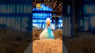 battakh 🦆ko Lekar 🤣comedy video shorts [upl. by Hashum]