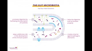 How to Feed Your Microbiome [upl. by Aniraz]