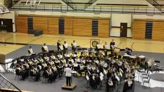 2014 MCHS Band Fusion [upl. by Eiralih577]