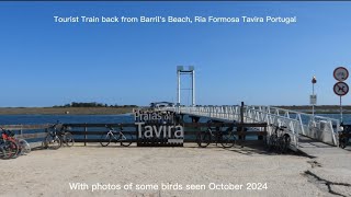 Tourist Train from Barrils Beach Tavira Portugal birdingnorthdevon [upl. by Chobot]