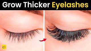 How to Grow Longer Thicker Eyelashes Naturally  Expert Advice eyelashes [upl. by Atinniuq]