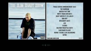 Eminem  The Slim Shady Show [upl. by Ahsital694]