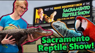 Attending the Sacramento Reptile Show [upl. by Woermer727]