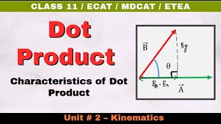 Dot Product  Scalar Product  Characteristics  Unit 2 Kinematics  Class 11 Physics TP11 20 [upl. by Boyt846]