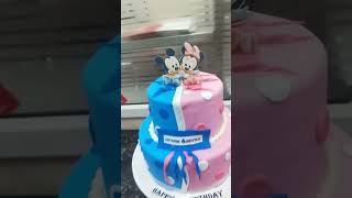 Mickey Mouse 4kg cake [upl. by Arodoeht]