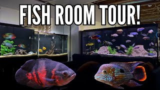 15 Cichlid Tanks in One Home Incredible Fish Room Tour [upl. by Joashus]