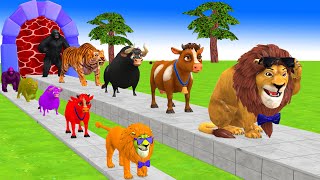 Paint amp Animals CowGorillaLionTigerFerdinand Fountain Crossing Transformation Cartoon [upl. by Brice414]