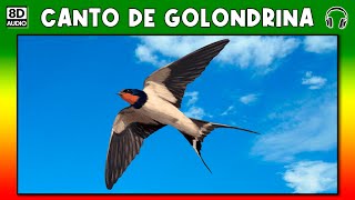 CANTO DE GOLONDRINA 🐦 [upl. by Garold]