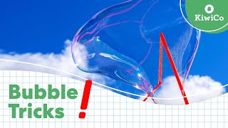 5 Awesome Bubble Tricks You Can Do At Home  KiwiCo [upl. by Nagram]