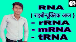 RNA  राइबोन्यूक्लिक अम्ल  rRNA  mRNA tRNA  explain by Manish sir [upl. by Ignacius640]