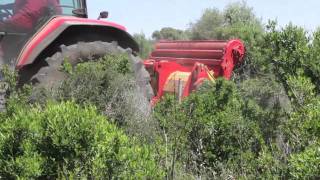 Tritasassi trinciatutto e fresa spietramento Cavalliecavalli Srl Sardegna [upl. by Stavro27]