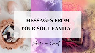 Pick a Card 🌊✨🧶 MESSAGES FROM YOUR SOUL FAMILY 🧶✨🌊 Timeless Tarot Card Reading [upl. by Hynes]