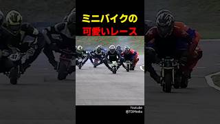 ミニバイクの可愛いレース [upl. by Yrrum]