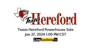 Texas Hereford Powerhouse Sale  Jan 27 2024 [upl. by Fuchs]