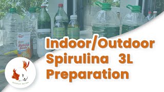 A Complete Guide to Starting Your Spirulina Culture [upl. by Ecirtram609]