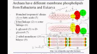 3 2A 3domains lipids [upl. by Yecart]