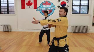 POOMSAE 4 Instructional [upl. by Netsuj]