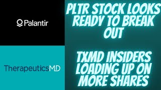 Palantir PLTR Stock Looks Ready To Break Out  TherapeuticsMD TXMD Stock Update [upl. by Armat]