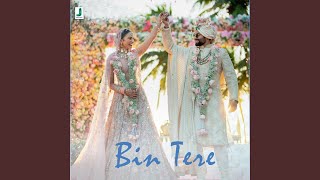 Bin Tere [upl. by Eidua341]