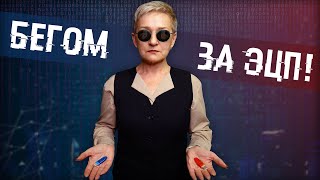 Бегом за ЭЦП Успейте получить подпись до конца года [upl. by Nyllewell]