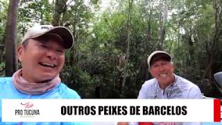 EP9 OS PEIXES DE BARCELOS PARTE 1 [upl. by Irrej]