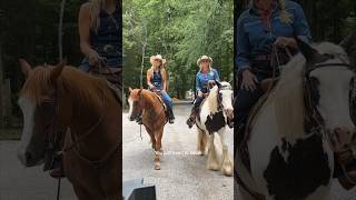 Good Horses featuring my girl mirandalambert is out now countrymusic goodhorses whirlwind [upl. by Brecher]