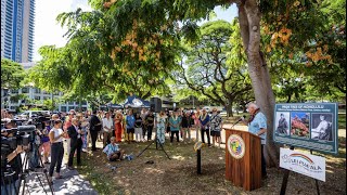 quotOfficial Pride Tree of Honoluluquot honors two brave lesbian Oʻahu residents [upl. by Brandise]