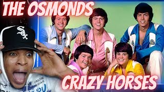 FIRST TIME HEARING  THE OSMONDS  CRAZY HORSES LIVE  REACTION [upl. by Ynahpit]