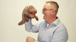 Folkmanis® Manatee Puppet Demo [upl. by Coopersmith55]