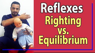 16 Difference between Righting amp Equilibrium Reactions [upl. by Jb506]