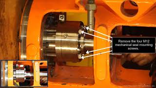 BSER Side Entry Mechanical Seal Change [upl. by Eissen]