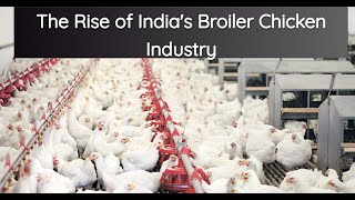 How Broiler Chicken Farming is Revolutionizing Indias Agribusiness  The Knowledge Emporium [upl. by Lareneg914]