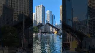 boating up Chicago for River bridge lifts4 [upl. by Aihsitan472]