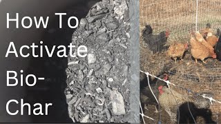 The 2 BEST Methods to Inoculate Biochar Plus 2 additional ways [upl. by Ellita]